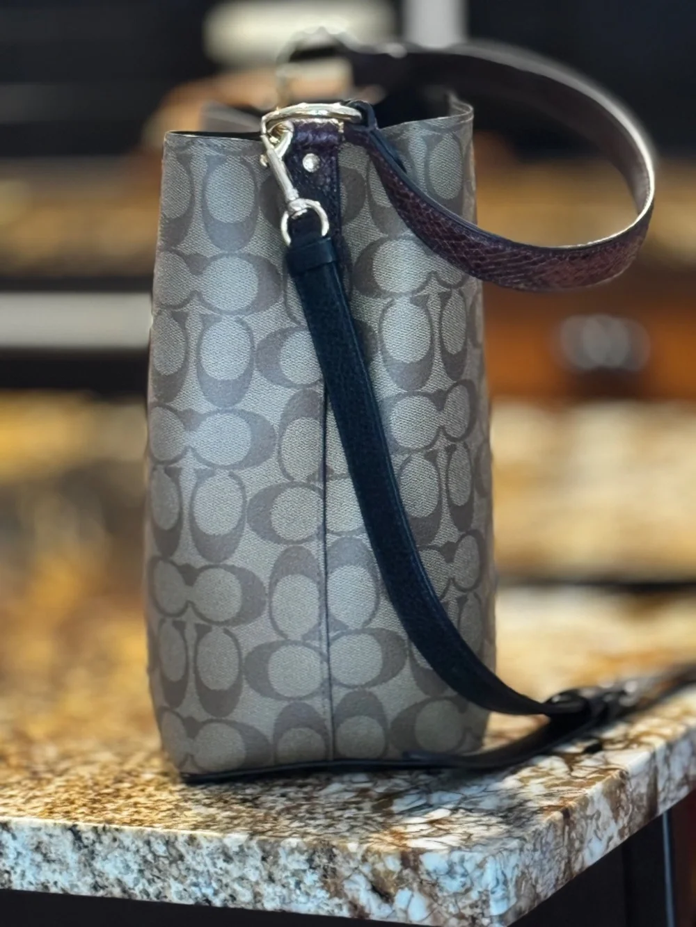 Coach Basquiat Rexie Bucket Bag Limited Signature Canvas